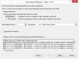 Excel Text Import Wizard